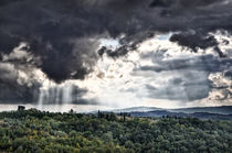 Landschaft Toskana Italien / italian landscape Tuscany von Thomas Schaefer