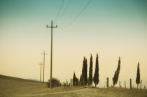 Landschaft Toskana Italien / italian landscape Tuscany by Thomas Schaefer