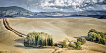 Landschaft Toskana Italien / italian landscape Tuscany von Thomas Schaefer