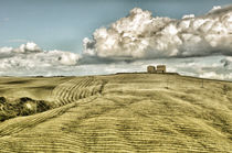 Landschaft Toskana Italien / italian landscape Tuscany von Thomas Schaefer