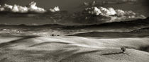 Landschaft Toskana Italien / italian landscape Tuscany von Thomas Schaefer