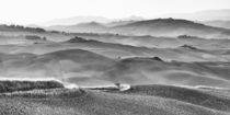 Landschaft Toskana Italien / italian landscape Tuscany by Thomas Schaefer