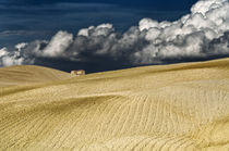 Landschaft Toskana Italien / italian landscape Tuscany von Thomas Schaefer