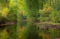 River Teign on Dartmoor von Pete Hemington