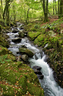 River Lyd on Dartmoor by Pete Hemington