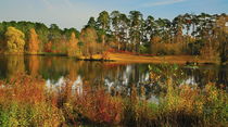 Bright autumn by the lake by Yuri Hope