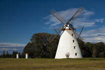 Windmühle von Vihula von Christian Hallweger