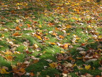 Herbstboten von Angelika  Schütgens