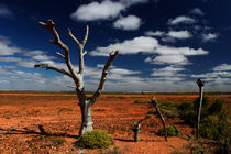 Outback von Christian Hallweger