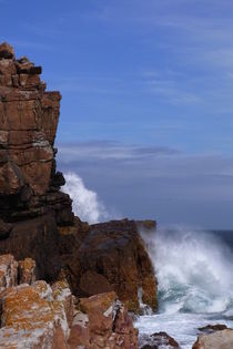 Cape of Good Hope by ysanne