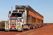 Road Train III von Christian Hallweger