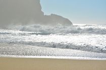 Beach in the Nazare by Diana Gavrylova