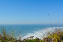 Beach in the Nazare by Diana Gavrylova