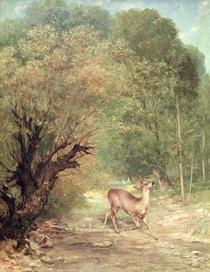 The Hunted Roe-Deer on the alert, Spring von Gustave Courbet