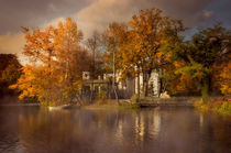 Golden leaves  von Jarek Blaminsky