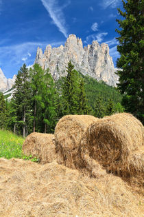 Dolomiti - alpine pasture von Antonio Scarpi