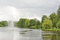 Ein grauer Tag im Park von gscheffbuch