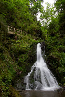 Lotenbachklamm von Gerhard Albicker