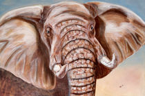 Elefant, Elephant, Wildlife, Dickhäuter, Afrika, Tiermalerei by Annett Tropschug