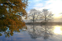 Herbstmorgen an der Ruhr 2 von Bernhard Kaiser