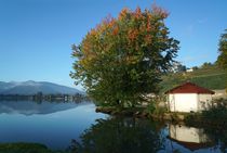 Am Luganersee von Bruno Schmidiger