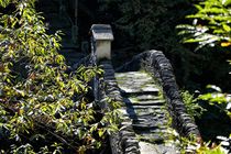 Brücke im Wald von Bruno Schmidiger