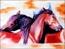 ~ Grooming Red Horse ~ by Sandra  Vollmann
