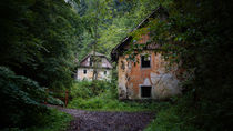 Altes Haus im Wald by Mathias Karner