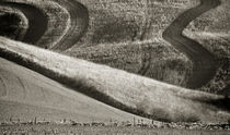 Landschaft Toskana Italien / italian landscape Tuscany by Thomas Schaefer