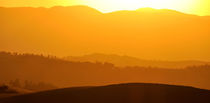 Landschaft Toskana Italien / italian landscape Tuscany by Thomas Schaefer