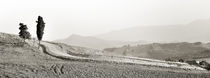 Landschaft Toskana Italien / italian landscape Tuscany by Thomas Schaefer