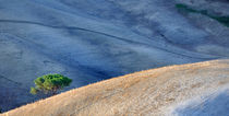 Landschaft Toskana Italien / italian landscape Tuscany by Thomas Schaefer