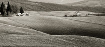 Landschaft Toskana Italien / italian landscape Tuscany von Thomas Schaefer