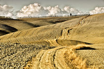 Landschaft Toskana Italien / italian landscape Tuscany von Thomas Schaefer