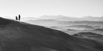 Landschaft Toskana Italien / italian landscape Tuscany by Thomas Schaefer