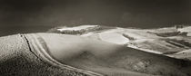 Landschaft Toskana Italien / italian landscape Tuscany by Thomas Schaefer