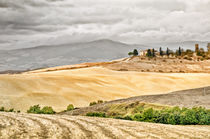 Landschaft Toskana Italien / italian landscape Tuscany von Thomas Schaefer