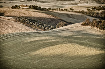 Landschaft Toskana Italien / italian landscape Tuscany von Thomas Schaefer