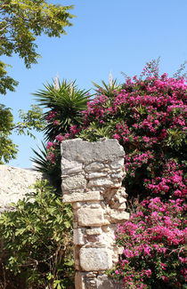 Urlaub auf der Insel Kreta in Griechenland von Mellieha Zacharias