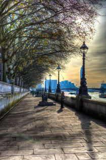 The River Thames Path von David Pyatt