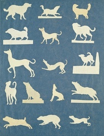 Study of Dogs  by Philipp Otto Runge