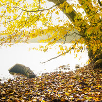 Waiting von Thomas Matzl