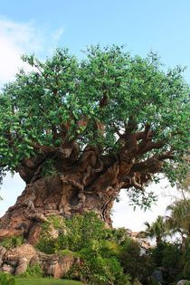 Baum des Lebens - Natursymbolik by Mellieha Zacharias