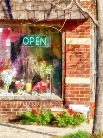 Christmas Wreathes For Sale by Susan Savad
