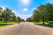 Autumn Park by Gerhard Petermeir