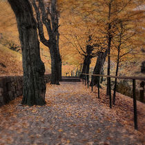 Way to Autumn von Gerhard Petermeir