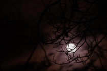 Moon and red Clouds by Gerhard Petermeir