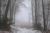 Winterwald mit Nebel 4 by Bernhard Kaiser