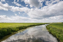 Landschaft in Nordfriesland by Beate Zoellner