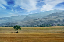 Italian countryside by Tania Lerro